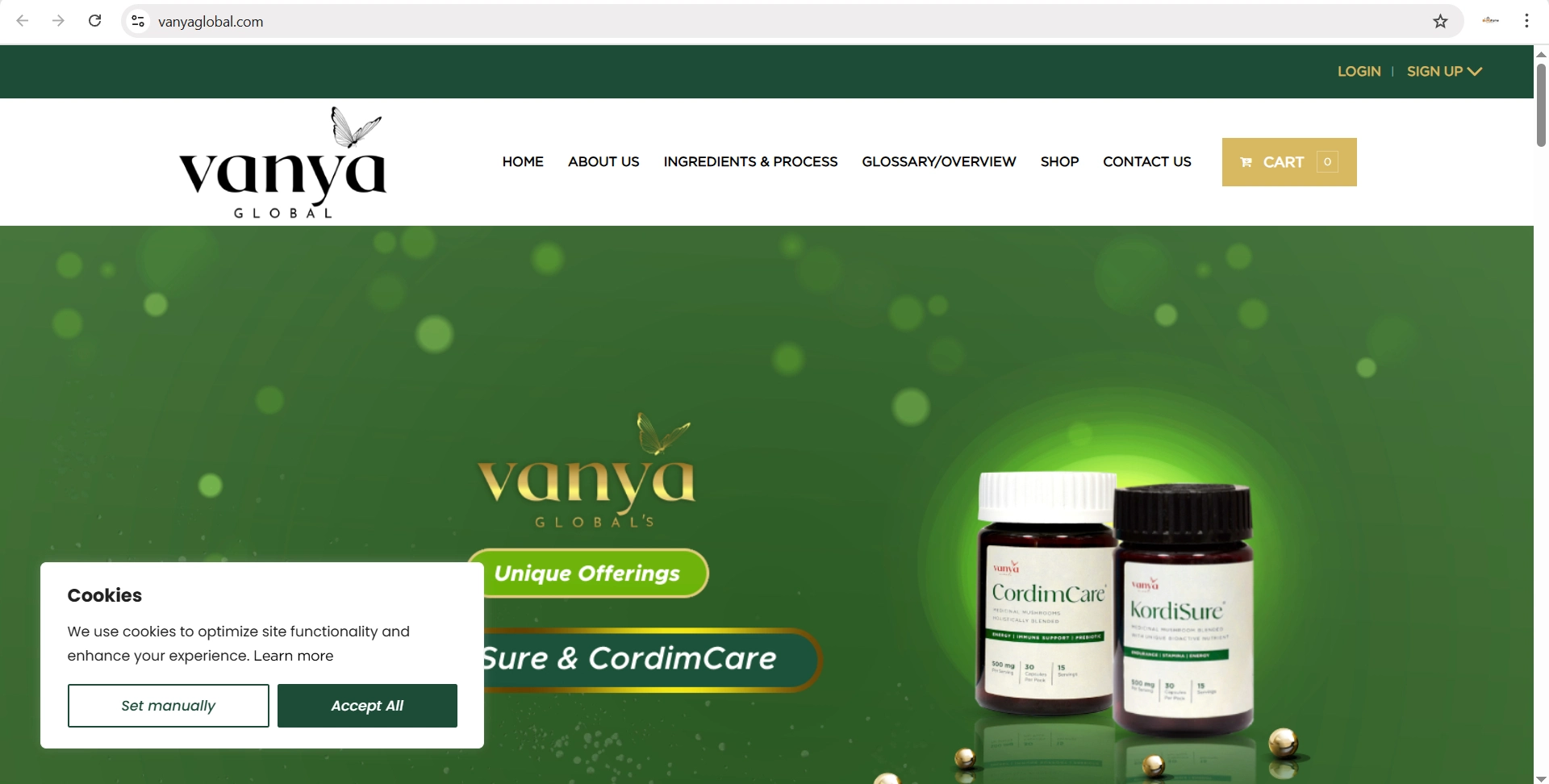 Vanya Global